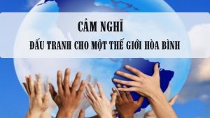 cảm nghĩ đấu tranh cho một thế giới hòa bình