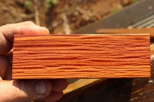 loại gỗ cứng nhất thế giới
