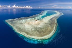 công viên tự nhiên rạn san hô tubbataha - di sản văn hóa thế giới ở philippines
