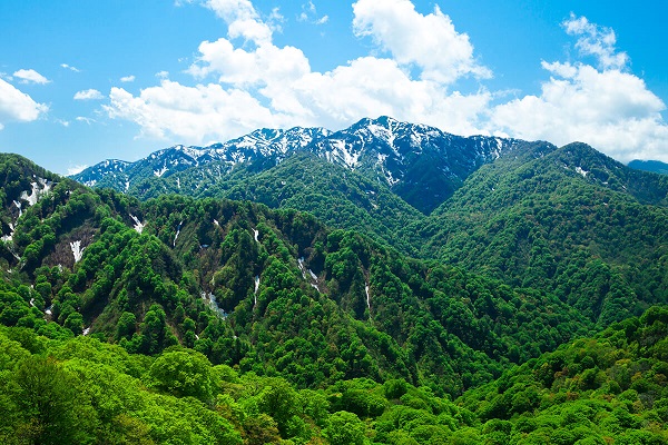 vùng núi shirakami - di sản thiên nhiên thế giới ở nhật bản