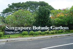 vườn bách thảo singapore - di sản văn hóa thế giới ở singapore