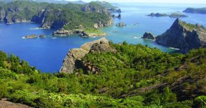 quần đảo ogasawara - di sản thiên nhiên thế giới ở nhật bản