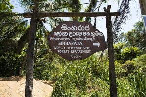 khu bảo tồn rừng sinhanraja - di sản văn hóa thế giới ở sri lanka