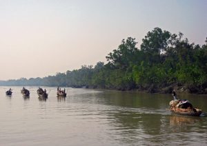sundarbans - di sản thiên nhiên thế giới ở bangladesh