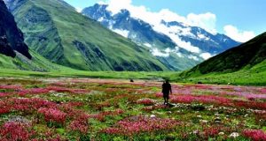vườn quốc gia nanda devi và thung lũng các loài hoa - di sản thiên nhiên thế giới ở ấn độ